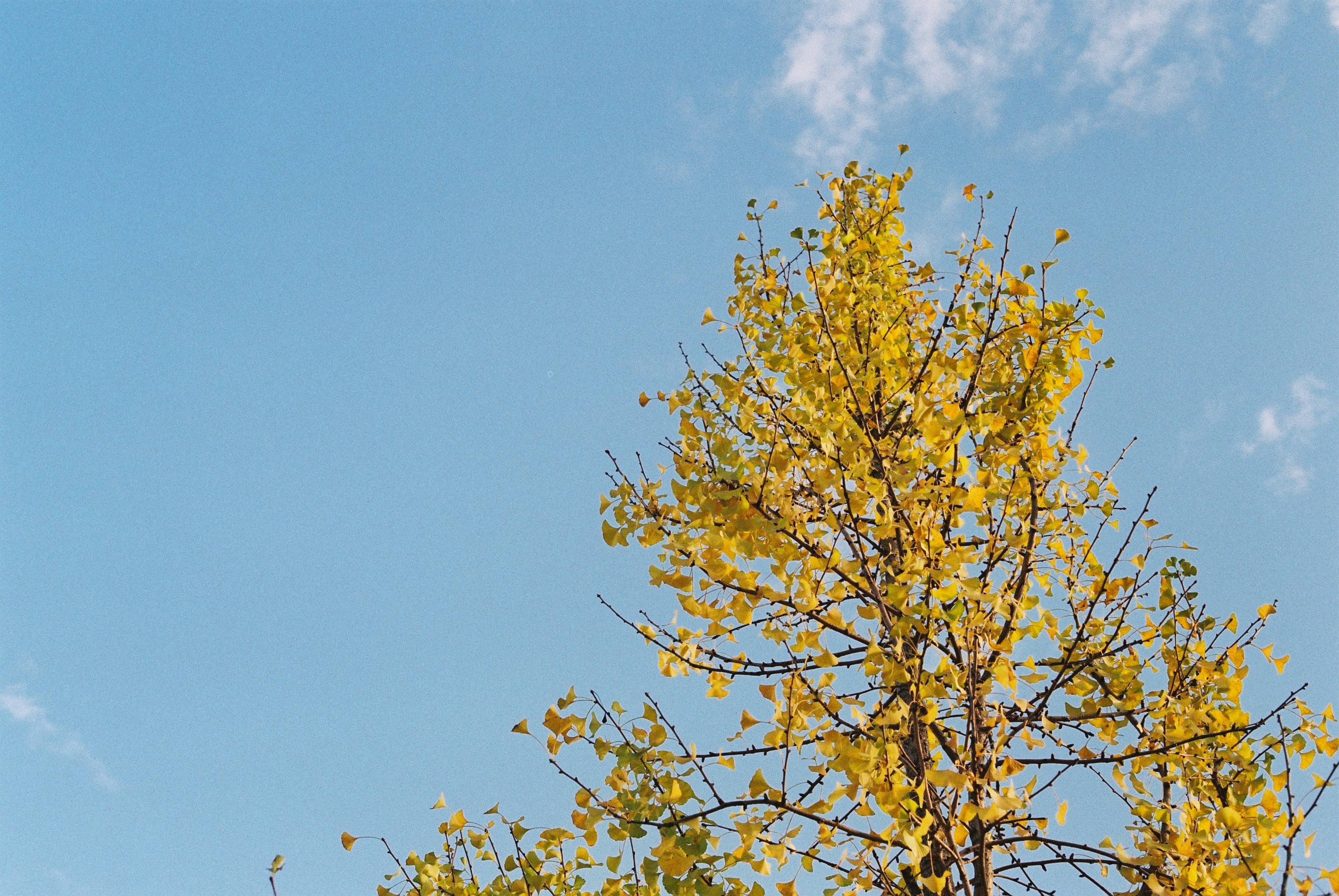 第一次拍了胶片怎么冲洗,坚持胶片拍摄的感受