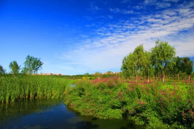 北京房山团建踏青地点推荐,北京房山春季旅游最佳去处