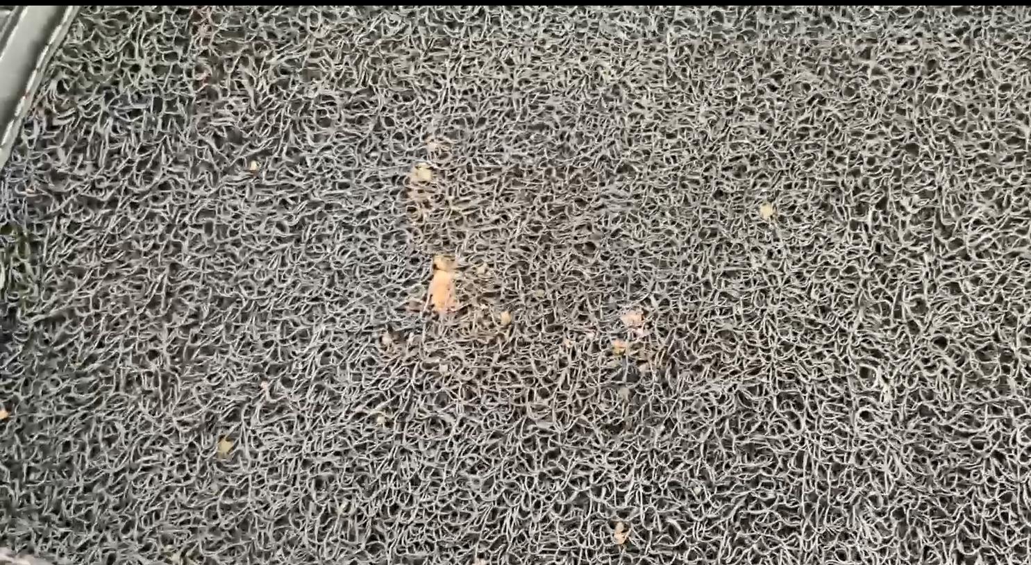 tpe脚垫的鉴别,tpe汽车脚垫哪个品牌好