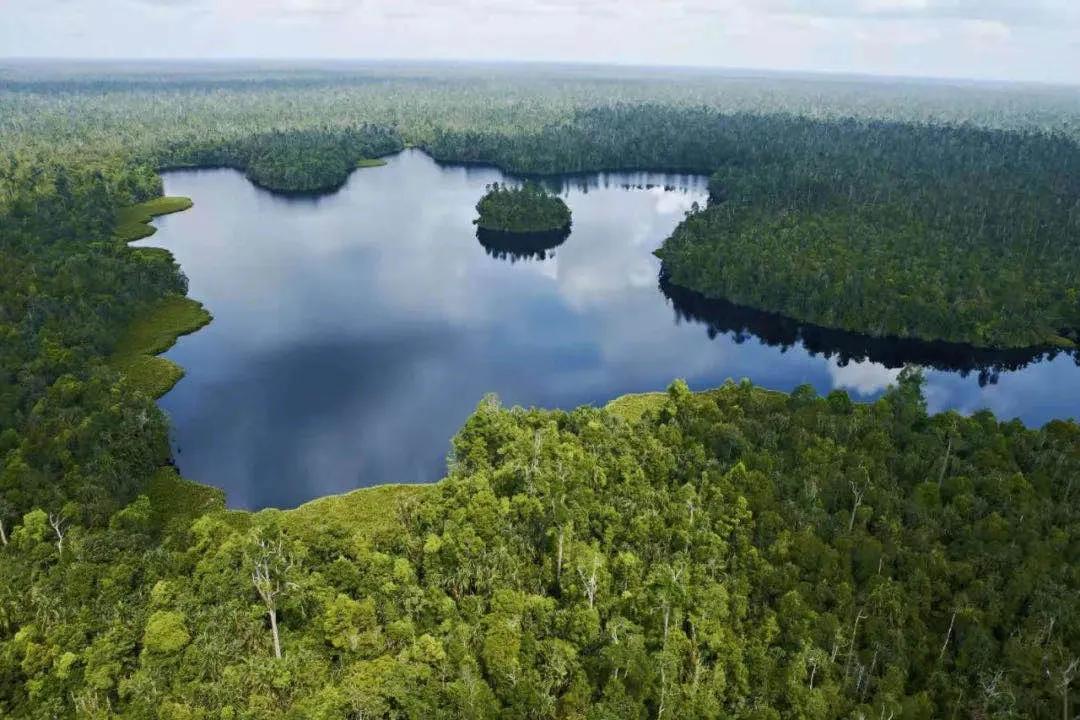 碳边境税、碳市场、碳交易……双碳时代来了！看盛虹、金鹰、魏桥、兰精、红豆等头部企业如何接轨变革
