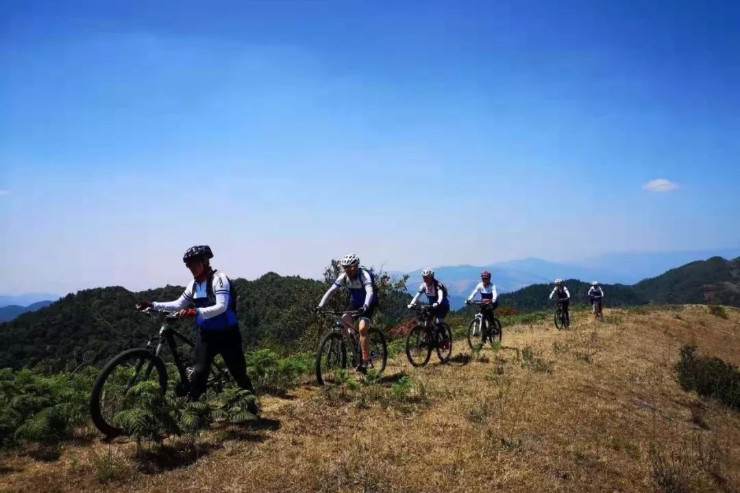 除了买房还有什么可以赚钱,除了买房还可以做什么生意