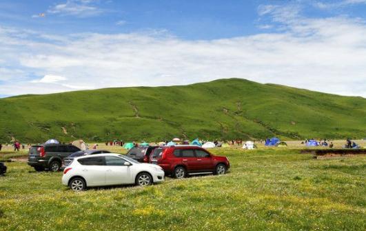 总结几个常见的租车问题，五一出行，避免踩坑