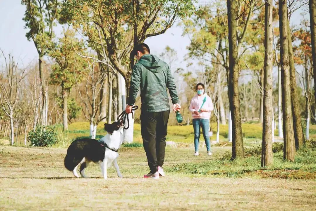 2022年上海遛狗圣地,2021上海遛狗圣地