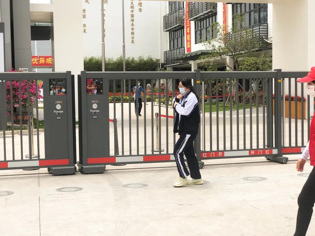 萌娃、萌宠纷纷抢镜!今年高考作文,深圳学生躺赢?