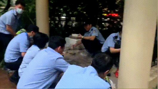 抗疫一线工作者冒着大雪坚守一线,致敬高温下的抗疫战