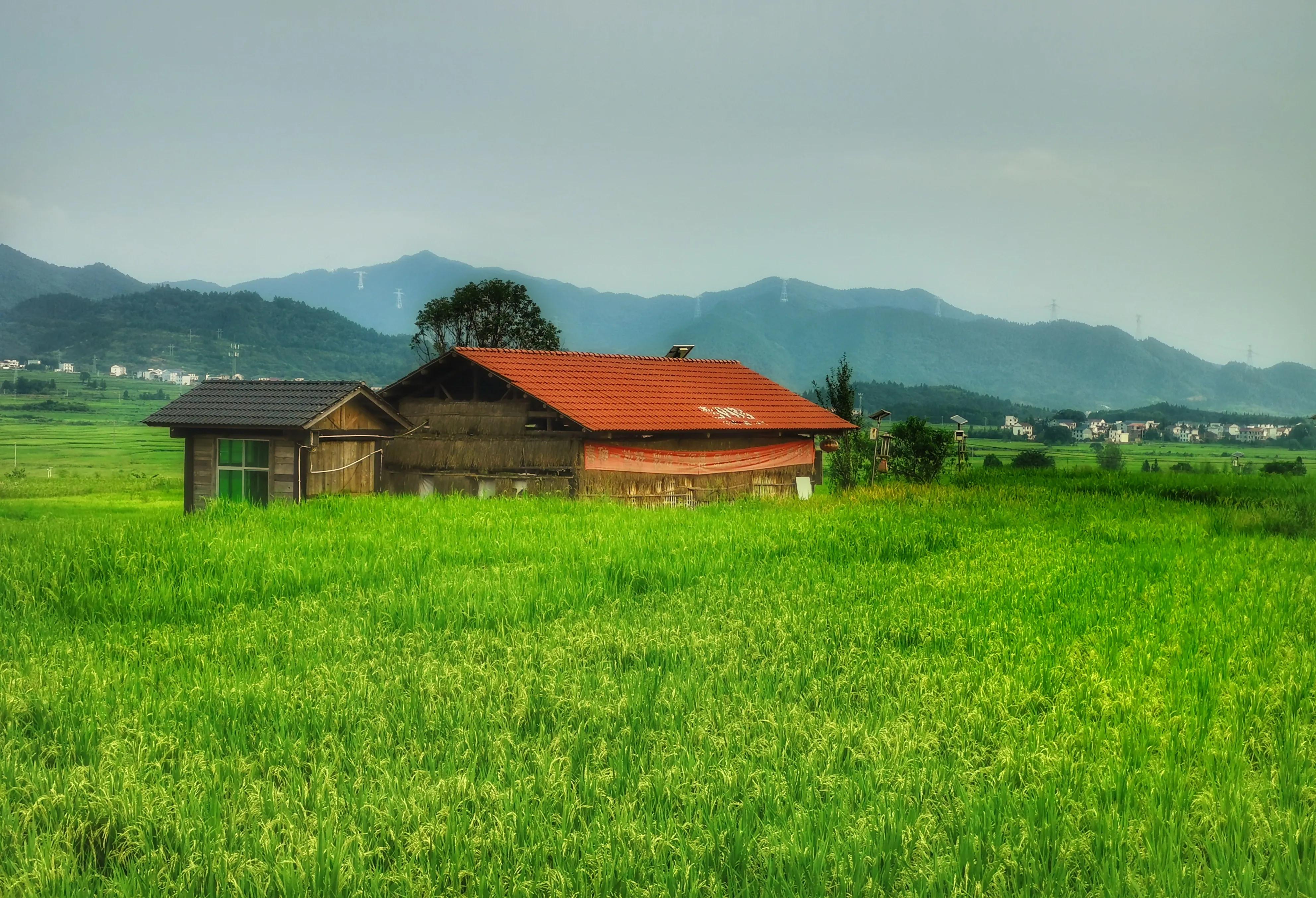 你会去莲花玩吗？我找到了3个“趣味点”，玩了一次跟着喜欢走