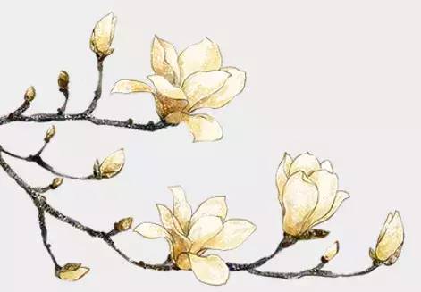 生僻字歌曲出处,生僻字歌词赏析