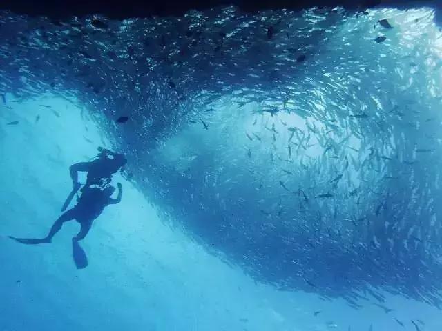 海南飞广州多少钱,春节三亚飞成都多少钱价位合适