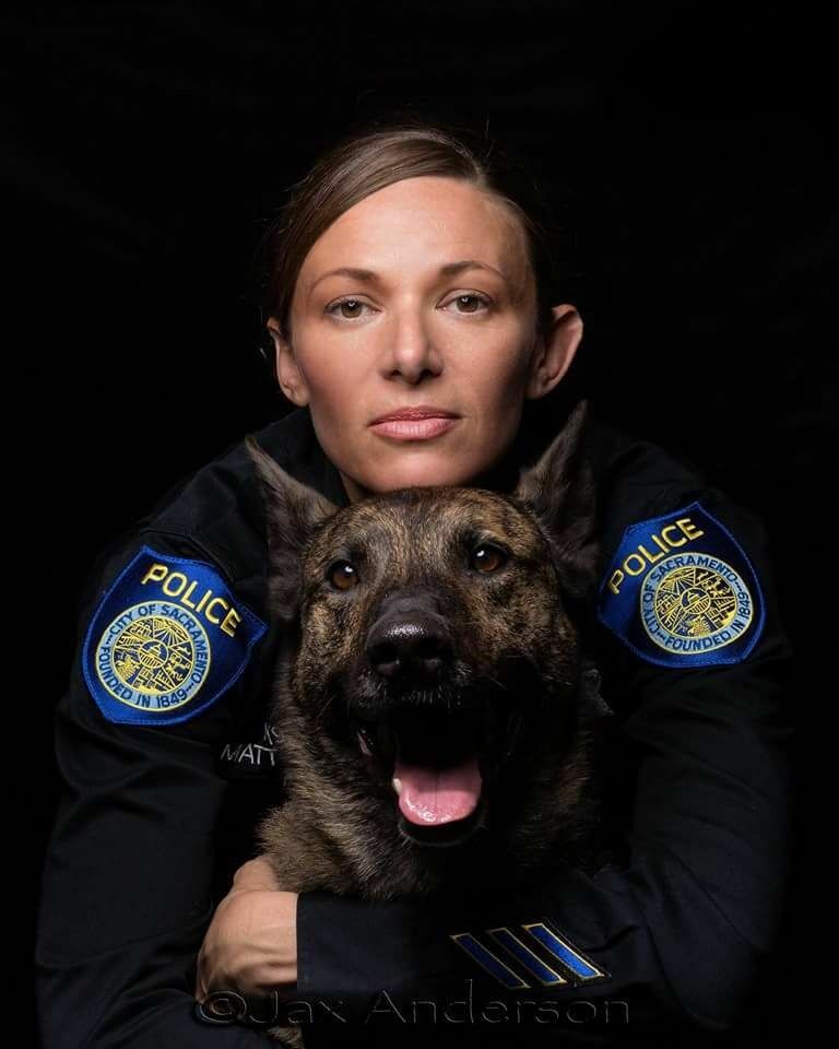 最好的十种猛犬都是哪几种,十大猛犬哪些犬对主人最真诚