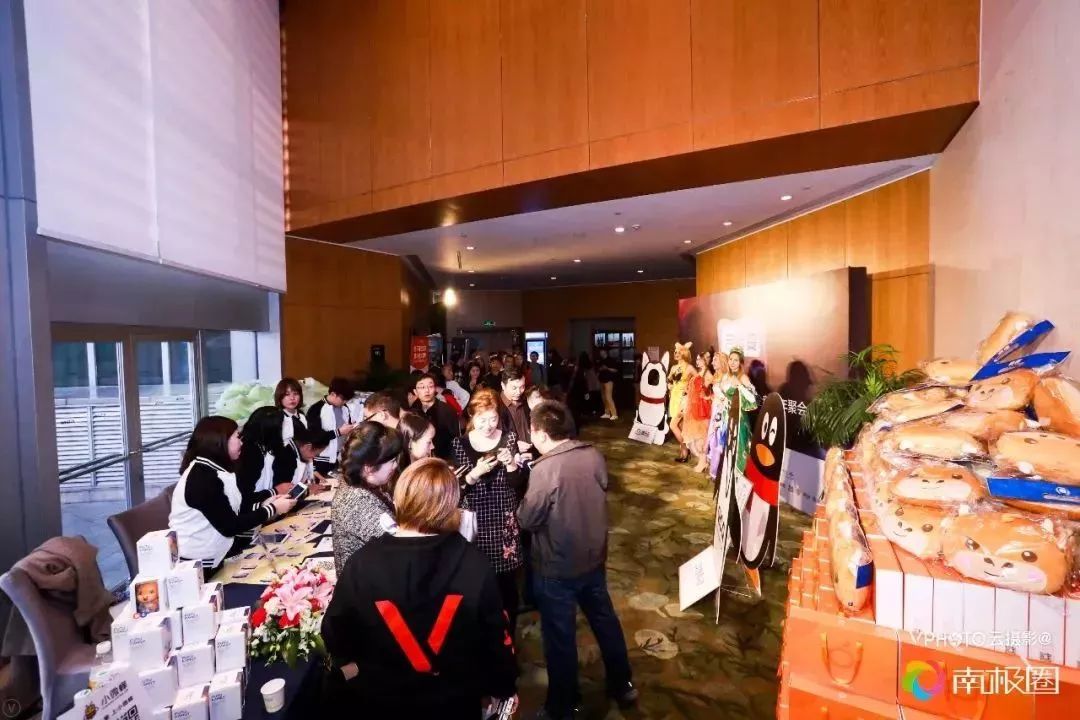 南极圈大事件,在南极圈我们做了什么