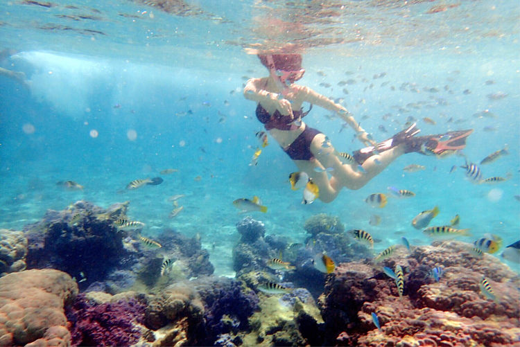 畅游粉红色的梦幻仙境·提克豪岛