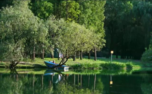 大局已定创业路何去何从,杨浦区的发展趋势