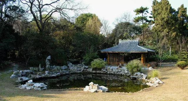 上海杨浦区最新发展规划,大局已定未来五年咋样