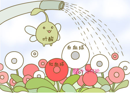 突然发现怀孕了该如何补叶酸,孕早期怎么补叶酸是最好的方法