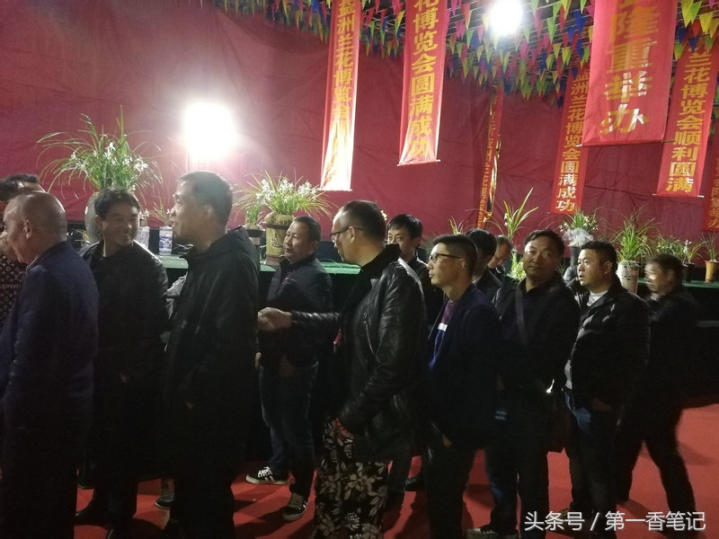 2018年昆明兰花展精品图片,云南兰花展作品欣赏