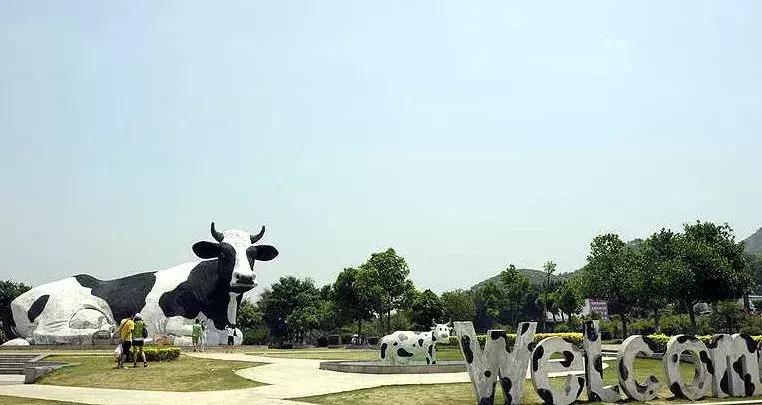 深圳一个值得一生回忆的城市,深圳一座让人伤心的城市