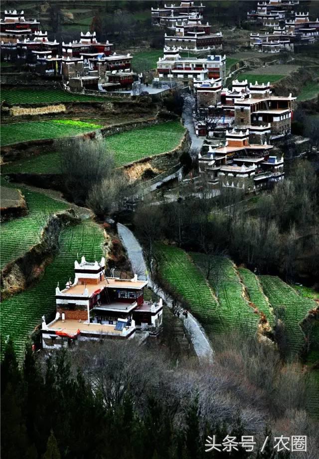 孕育了中华民族,孕育了什么样的文化