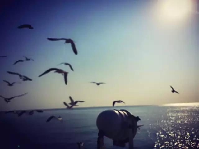 不用签证又不贵的旅游国家,无需签证小众旅游国家