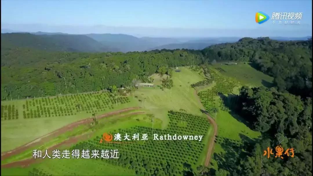 一部看完就想去买水果的纪录片，一次过见识50个城市的奇珍异果！