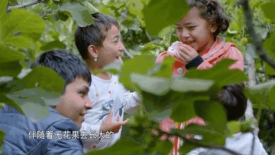 一部看完就想去买水果的纪录片，一次过见识50个城市的奇珍异果！