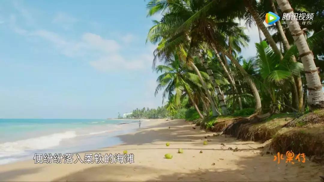 一部看完就想去买水果的纪录片，一次过见识50个城市的奇珍异果！