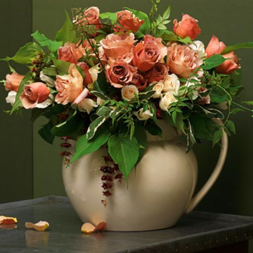 自己种的玫瑰花怎么没有花店的好,如何养花店买的玫瑰花