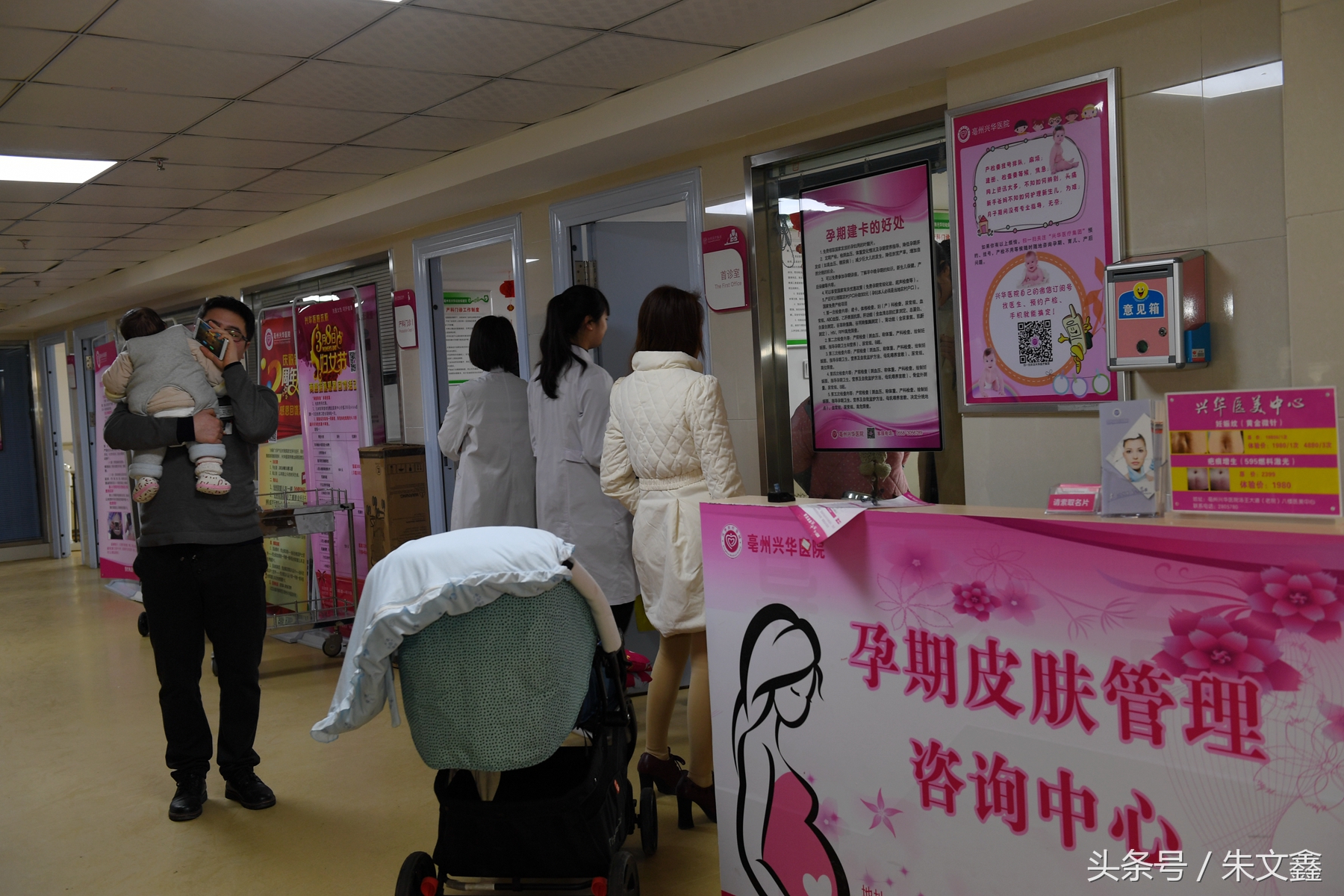 群雁高飞头雁领什么意思,群雁高飞