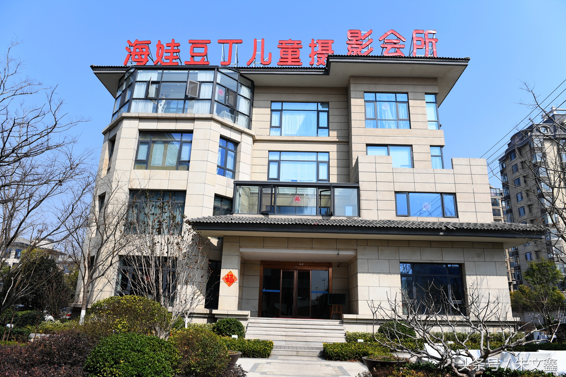 群雁高飞头雁领什么意思,群雁高飞