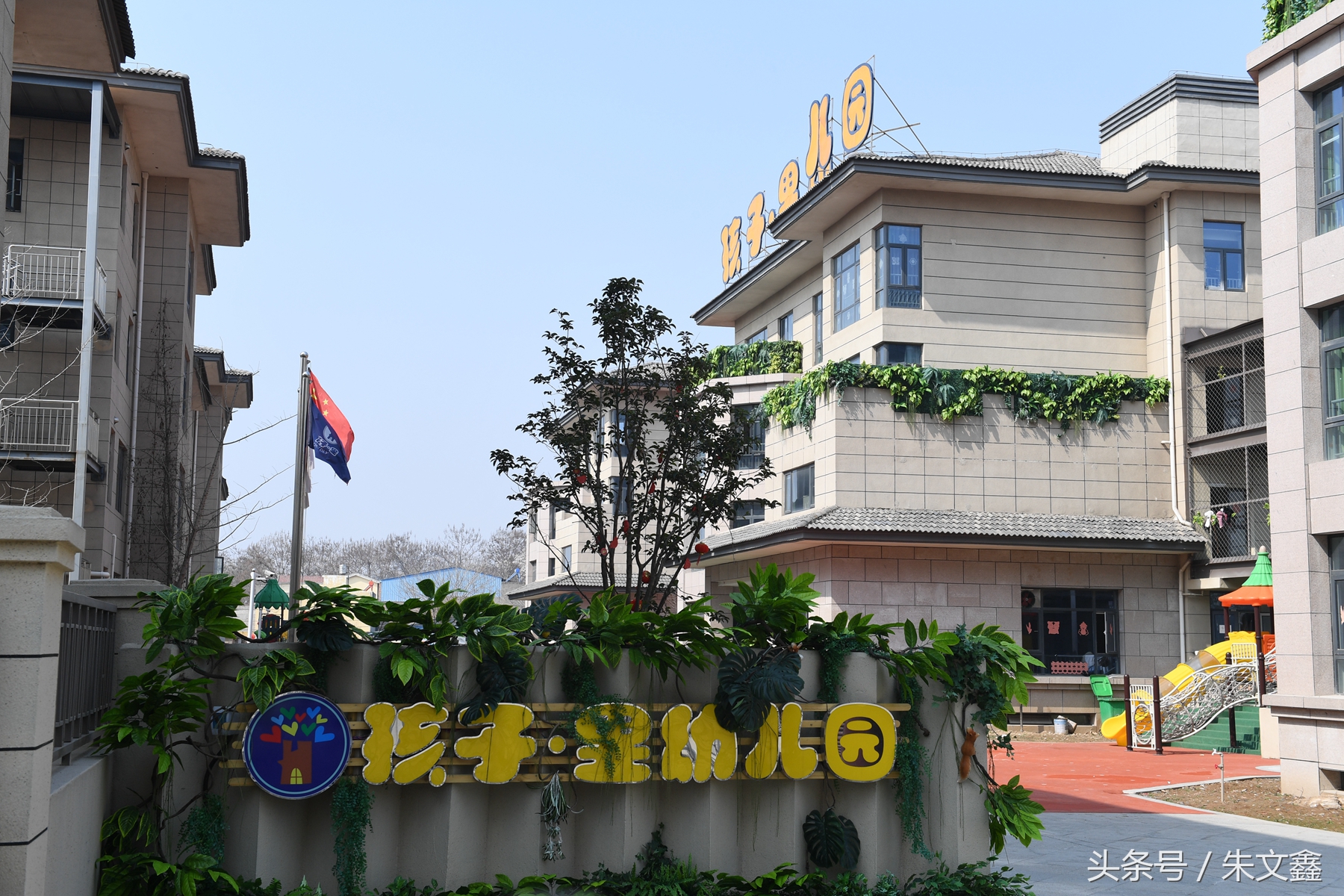 群雁高飞头雁领什么意思,群雁高飞