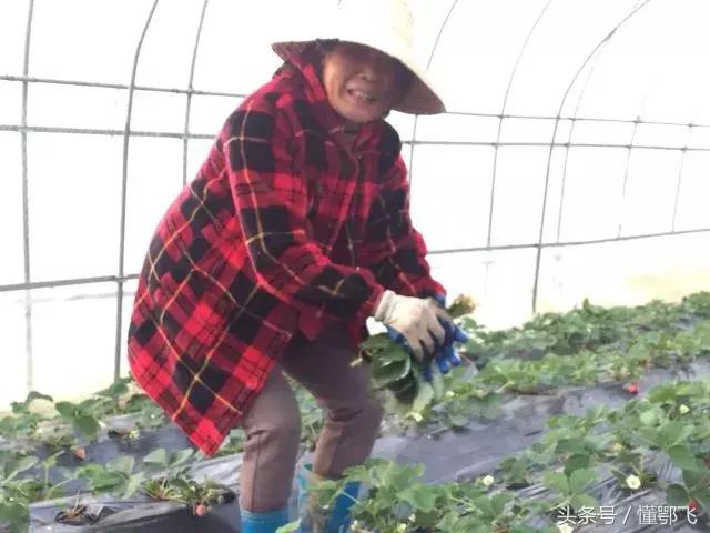 专访工匠传承匠心,专访仟吉创始人