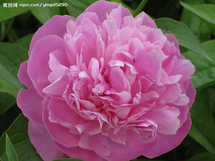 今天29，打开就能幸福久久！幸福相册！请收下给你的祝福哦