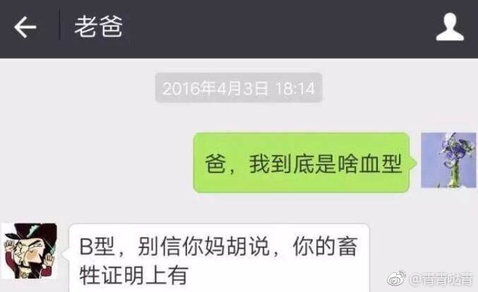 璺熺埗姣嶈亰澶╂墦閿欏瓧灏村艾鐬棿,鍜岀埗姣嶆墦閿欏瓧鎼炵瑧鑱婂ぉ璁板綍