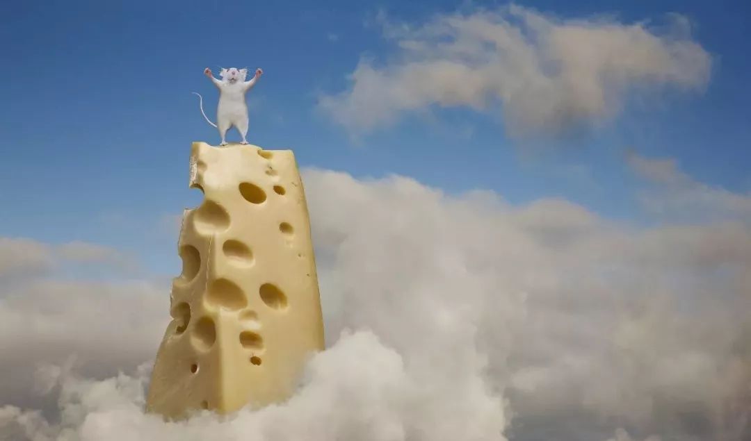 宇宙第一区深圳南山区房价,宇宙第一城