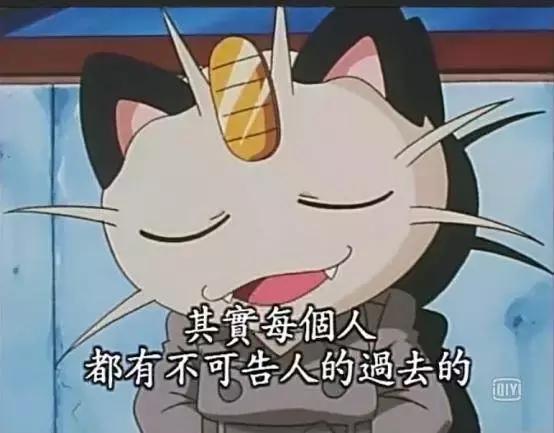 感觉自己养了一只猫是假猫 (你会觉得自己养了一只假猫吗)