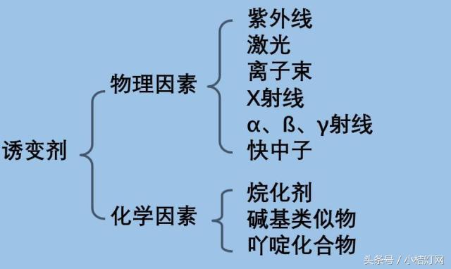 ivd专业知识,ivd相关知识