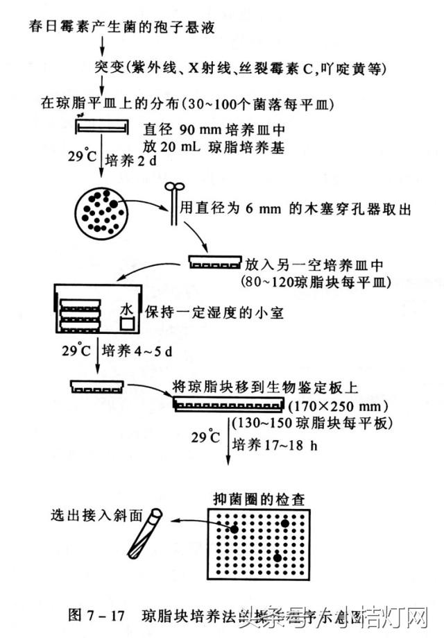 ivd专业知识,ivd相关知识
