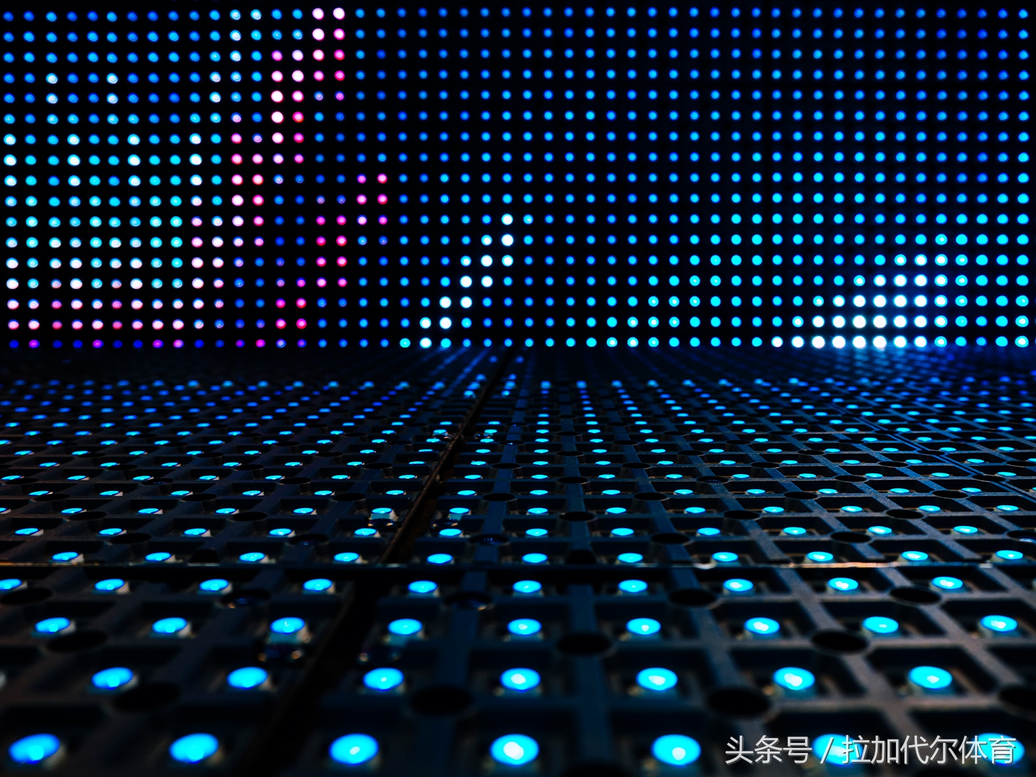 鎷夊姞浠ｅ皵浣撹偛涓婂競浜嗗悧,鎷夊姞浠ｅ皵浣撹偛骞垮憡