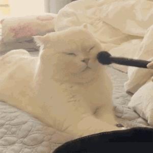 贵妇粉底液推荐公认好用,日本粉底液排行前十名视频