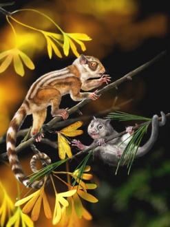 恐龙的名字和叫法,恐龙名称的来历