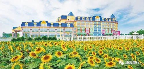 一秒钟搞定“花痴”攻略，别说我没帮你~