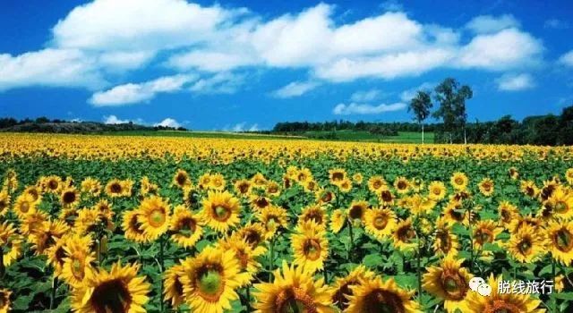 一秒钟搞定“花痴”攻略，别说我没帮你~