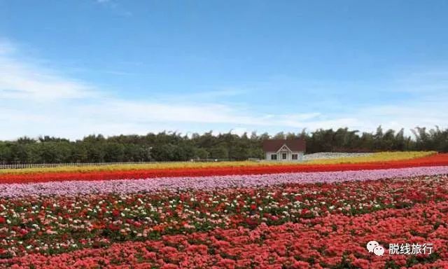 一秒钟搞定“花痴”攻略，别说我没帮你~