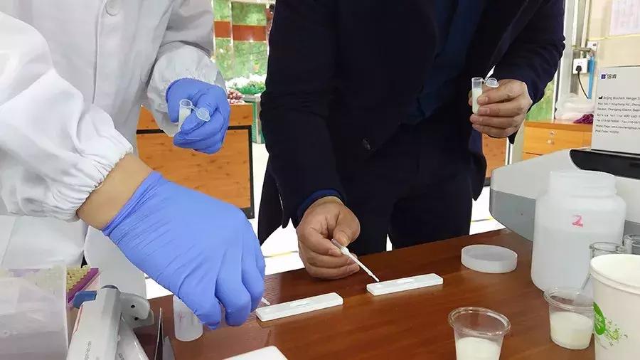 食品安全知识进超市宣传,食品安全科普进超市