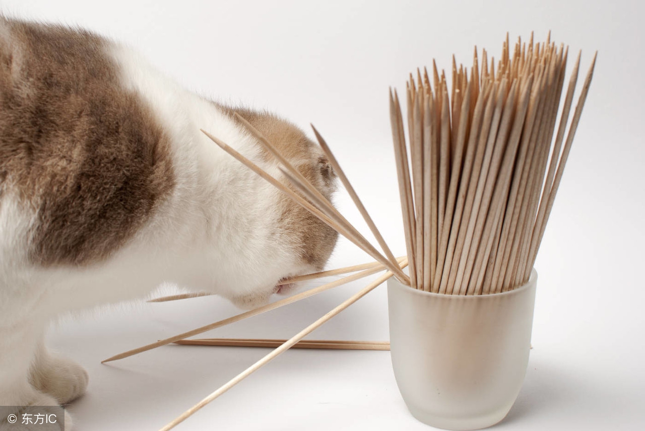 鳄鱼咬了怎么自救,如何避免被鳄鱼咬