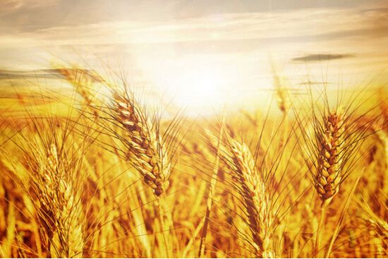 淘宝客推广的简单方法,淘宝客推广深度解析