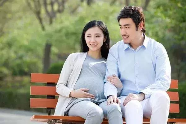 石家庄这些地方免费了,原来石家庄有这么多免费的地方