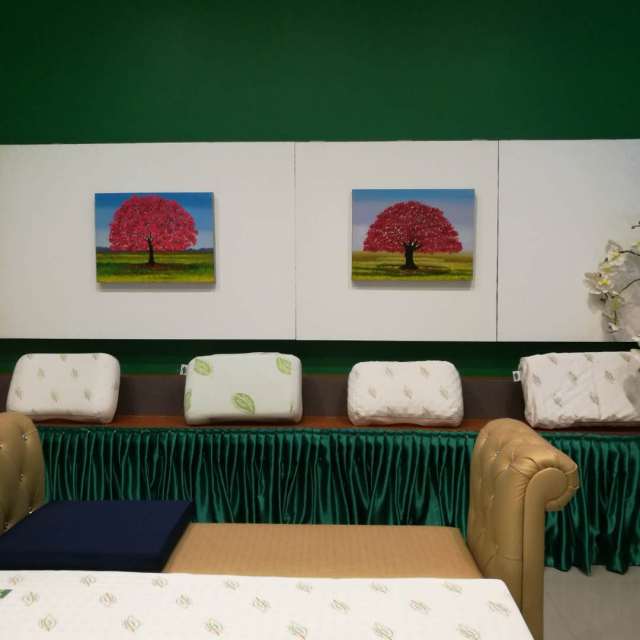 napattiga乳胶枕头测评,napattiga乳胶枕评测