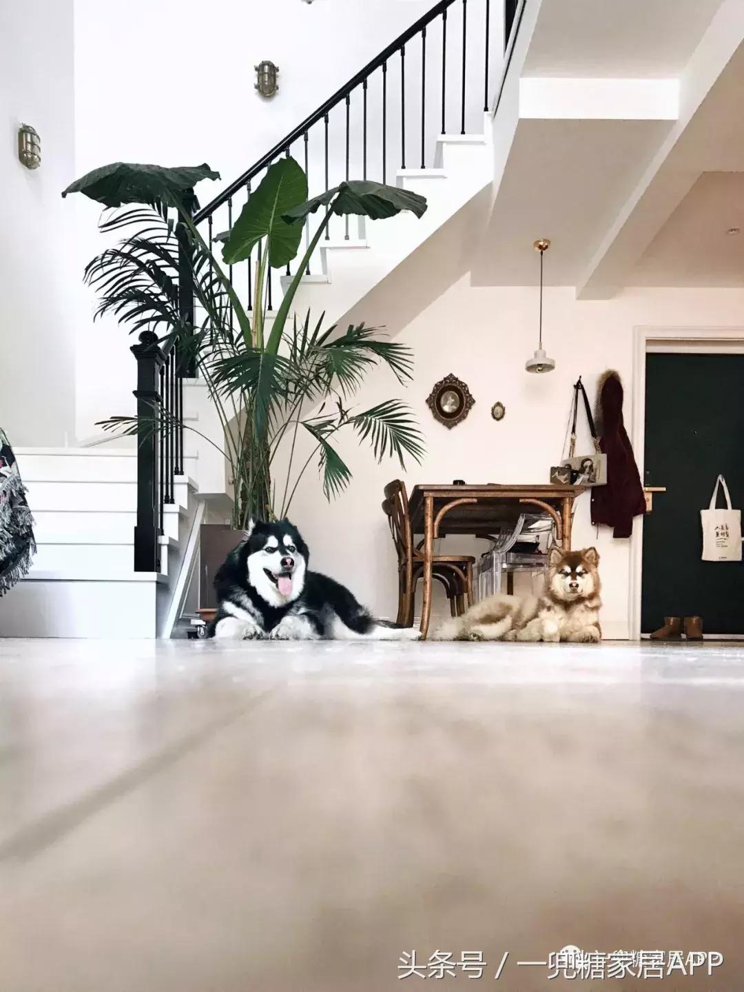 没有主灯无吊顶,不做吊顶也可有灯