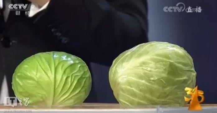 CPB、YSL、Dior成本十元造假全过程,内附315晚会曝光名单!