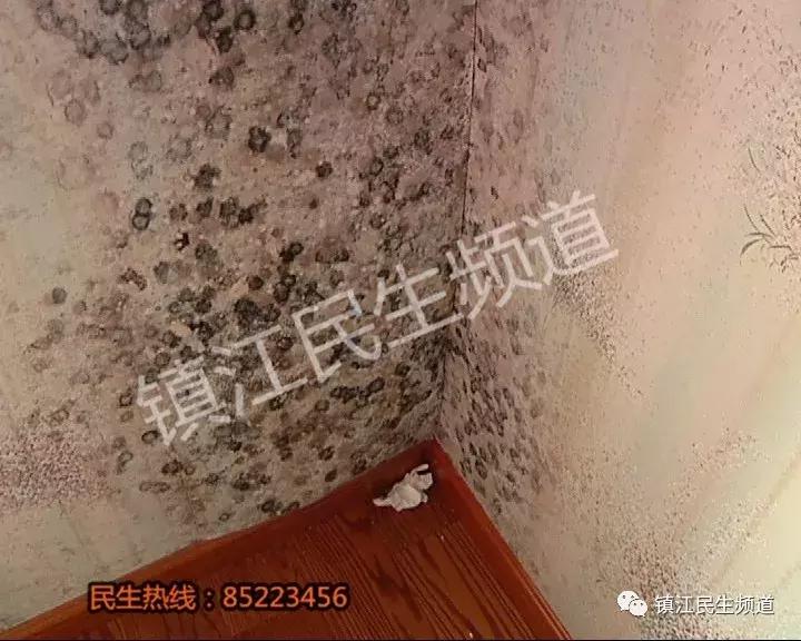 60多万在宝龙花园买的房子,记者进屋看了一眼差点吐了!